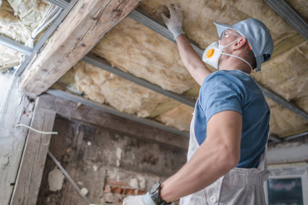 Best Insulation Contractors for Homes  in Belleair, FL
